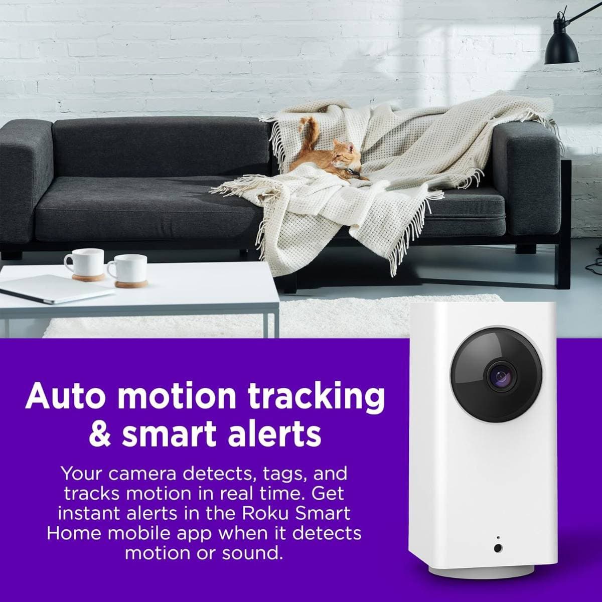 Roku Indoor Camera 360° for Home Security - Security Camera with 1080p HD Color Night Vision, Compatible with Alexa & Google, Motion Detection & Tracking - Pan & Tilt (Renewed) thumbnail 4