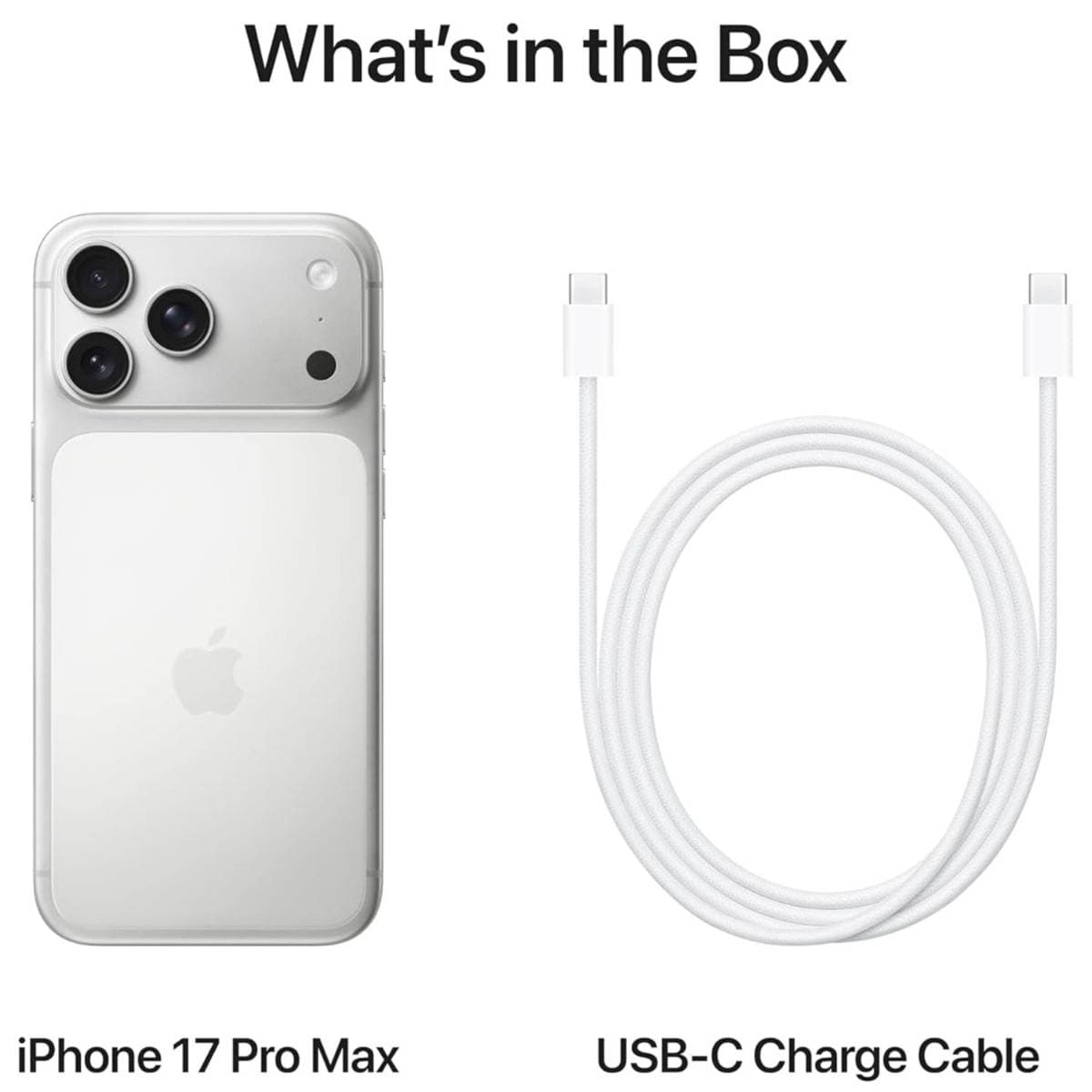 Apple iPhone 17 Pro Max (256GB, Silver) – A19 Pro Chip, 6.9-inch Super Retina XDR ProMotion Display, 48MP Triple Pro Camera System, 5G Smartphone, Face ID, iOS thumbnail 4