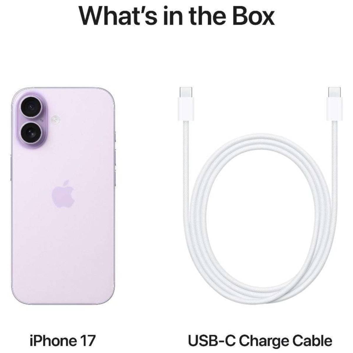 Apple iPhone 17 (256GB, Lavender) – 6.3-inch Super Retina XDR ProMotion Display, A19 Chip, 48MP Dual Camera, 5G Smartphone thumbnail 4